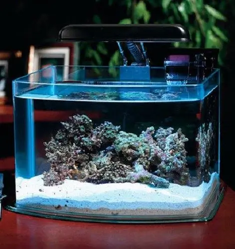 how to change the water for fish in an aquarium