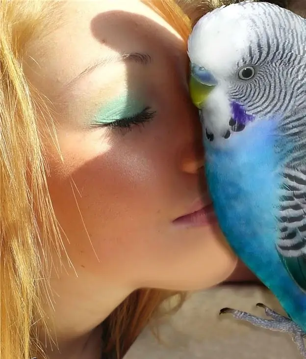 A talking parrot is the pride of its owner