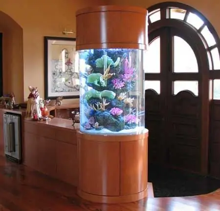 የ aquarium ውሃዎን እንዴት እንደሚለሰልሱ