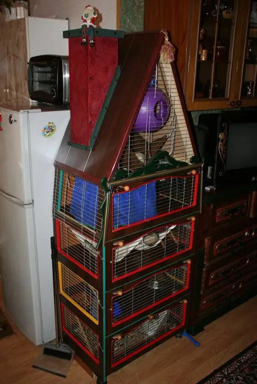 ferret cage ፎቶው ምን መምሰል አለበት