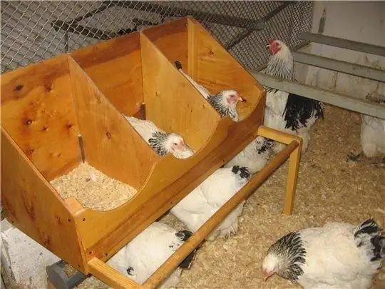 nests for laying hens so as not to peck eggs