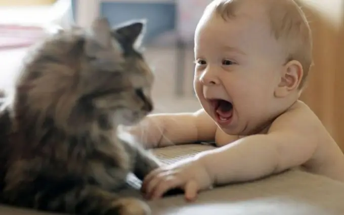 Apa yang perlu dilakukan dengan kucing sekiranya terdapat bayi yang baru lahir di rumah